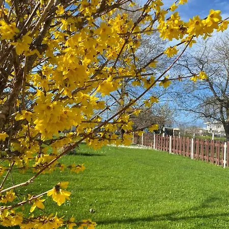 Dom wakacyjny Nikilein's House, 150μ απο την παραλία *